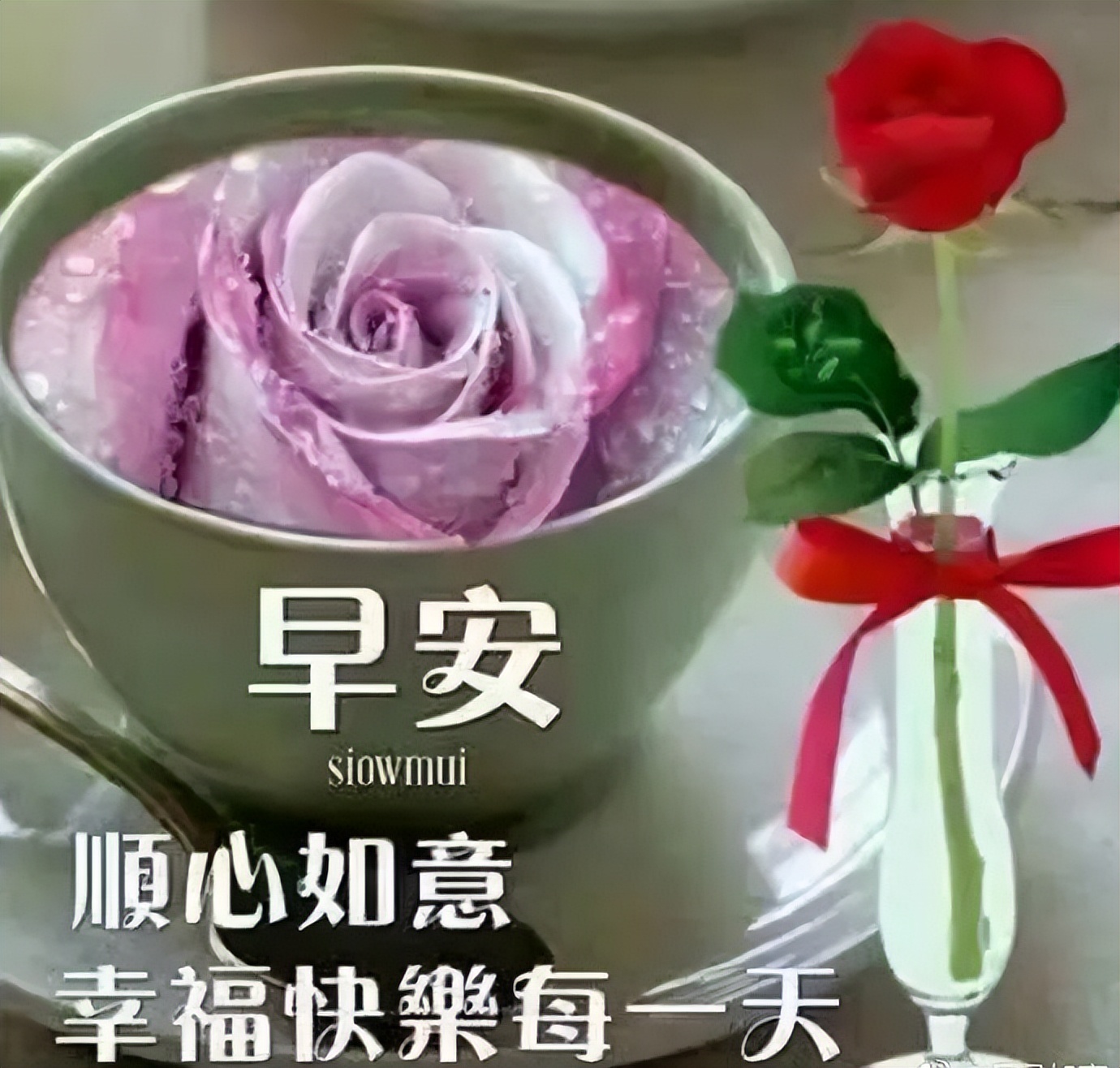 朋友圈早晨好动图美图大全 把心中最美好的问候送给你图片