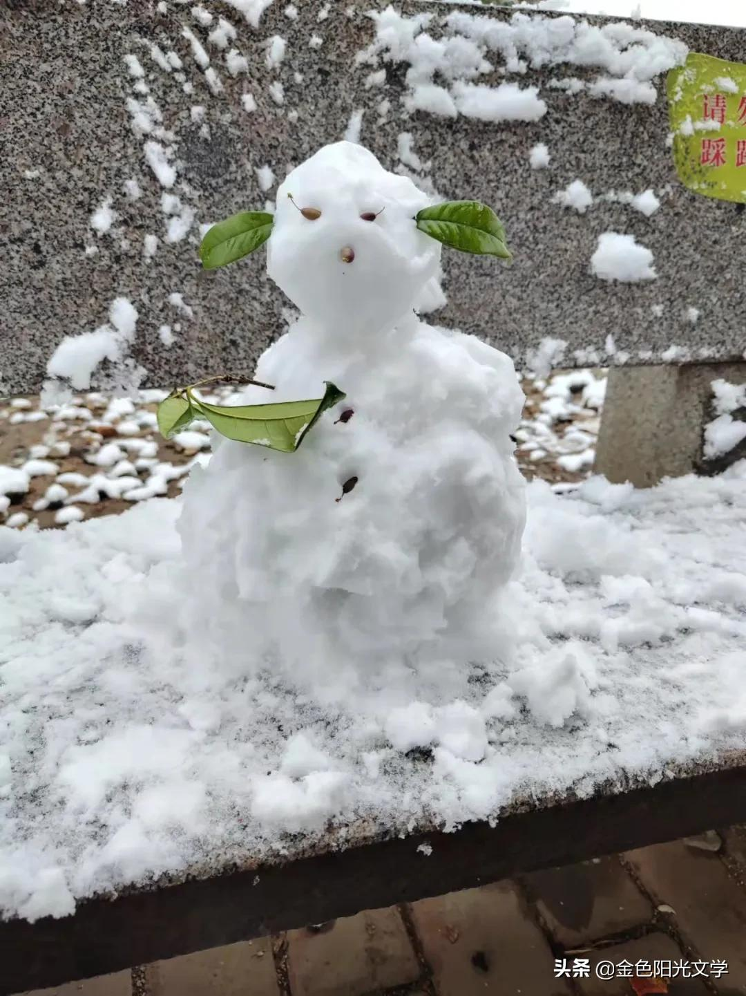 《酷酷的玩具手枪》《下雪了》《生日歌》