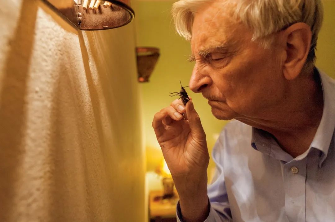 达尔文之后最伟大博物学家，爱德华·威尔逊遗作：与蚂蚁相伴80多年的故事