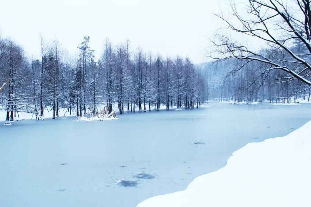 写雪最传神的三句诗，第一句太绝了，不愧是千古流传的名句