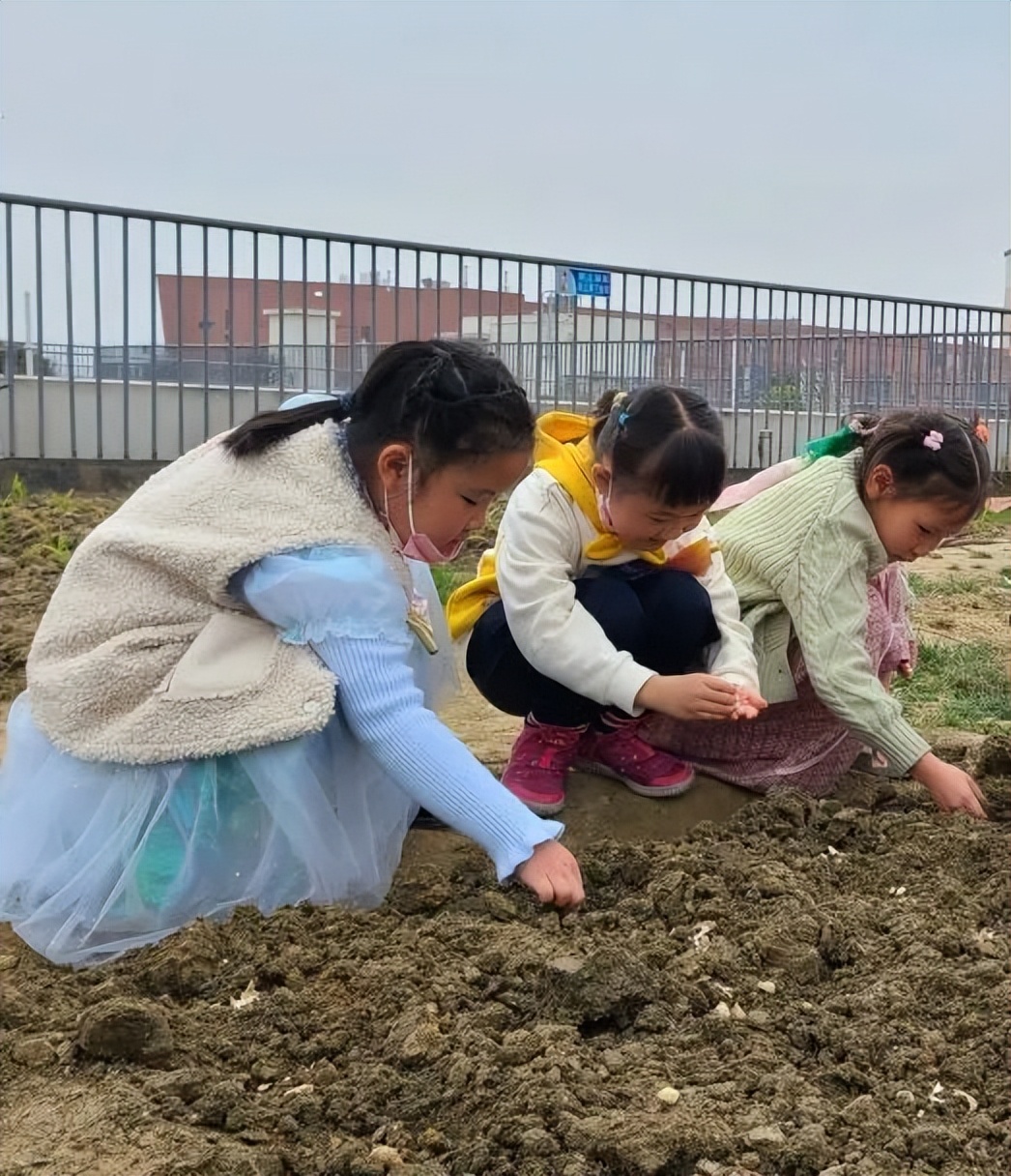 成都高新区朝阳小学开展“节气深耕·清明节气”主题活动