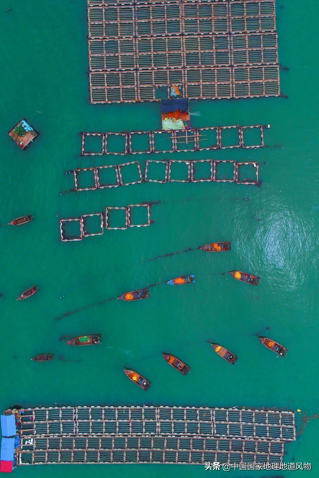 辽宁，被忽略的海鲜大省