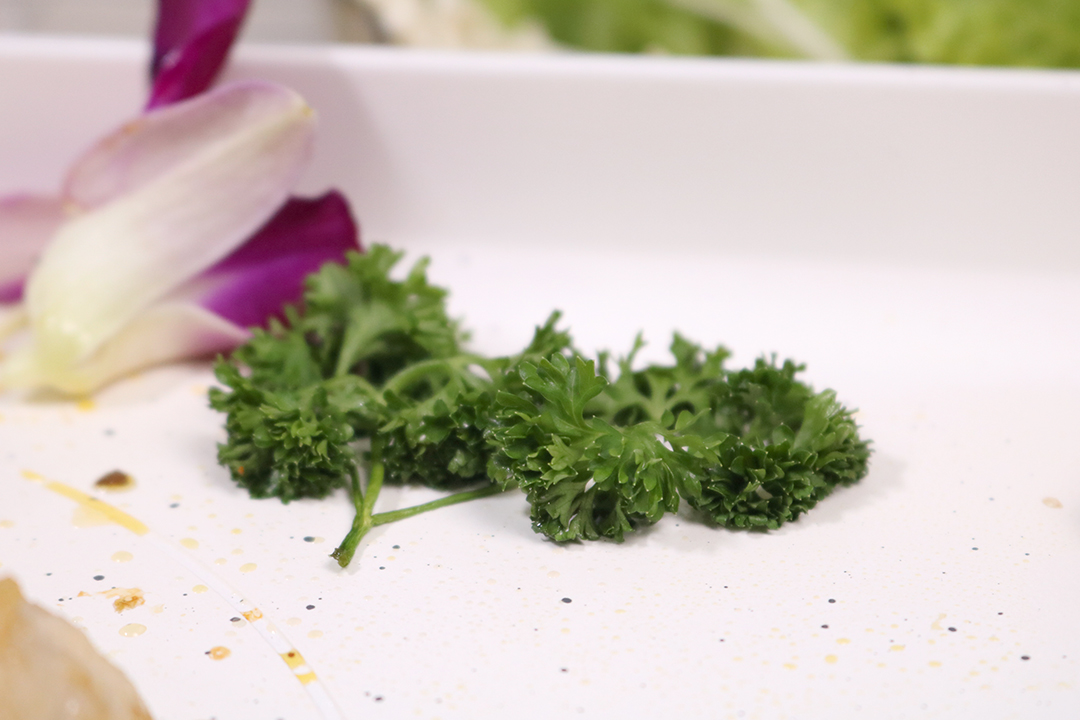 登上饭桌的移动灶台 用乐视嗨烤盘才知道在家吃烤肉到底有多香