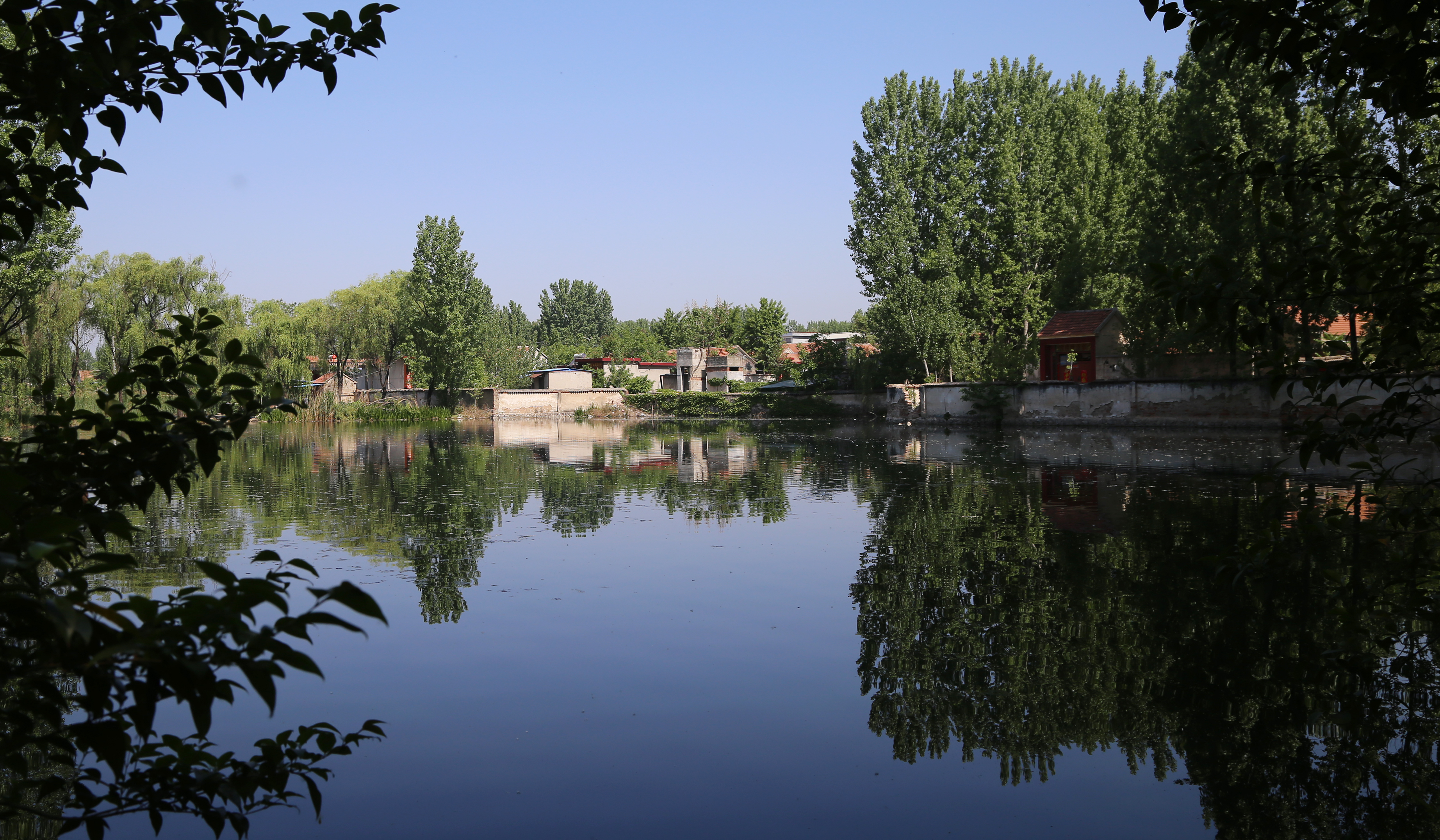 「摄影散文」初夏游泉林