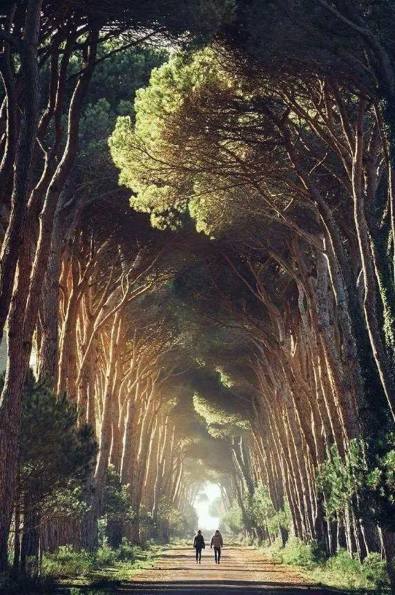 在你的记忆中是否有那么一条小径让你难以忘怀?