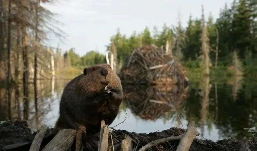 上个周末，我在腾讯的“车库”里度过了一下午