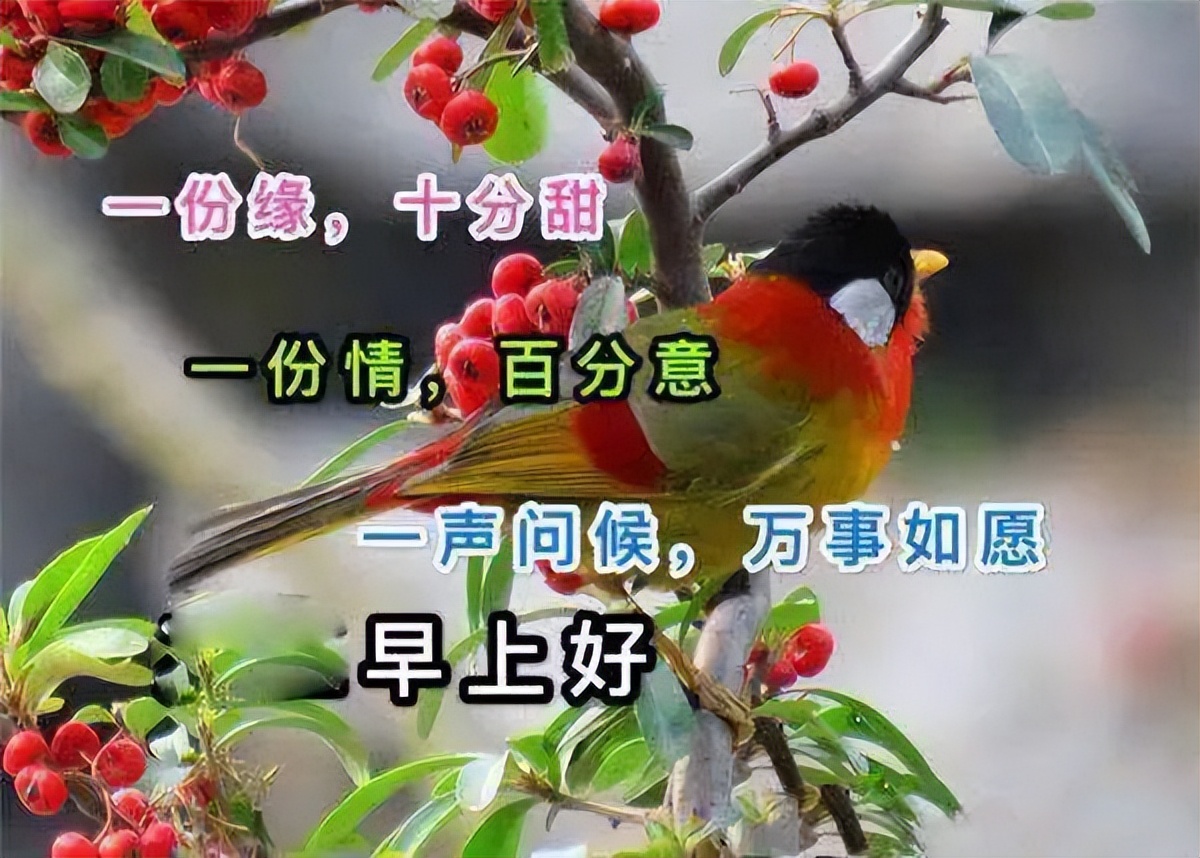 微信早上好祝福语，愿你福气满满，好运连连，新的一天阳光朝气图片