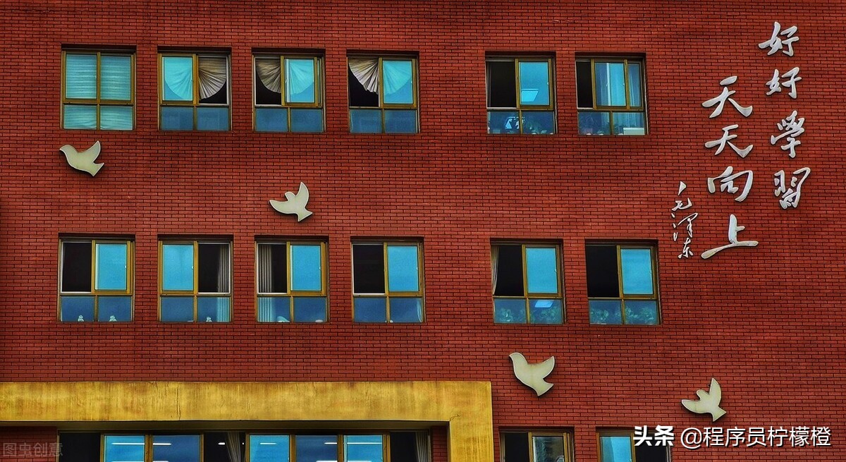 全家为什么只有我读到了博士