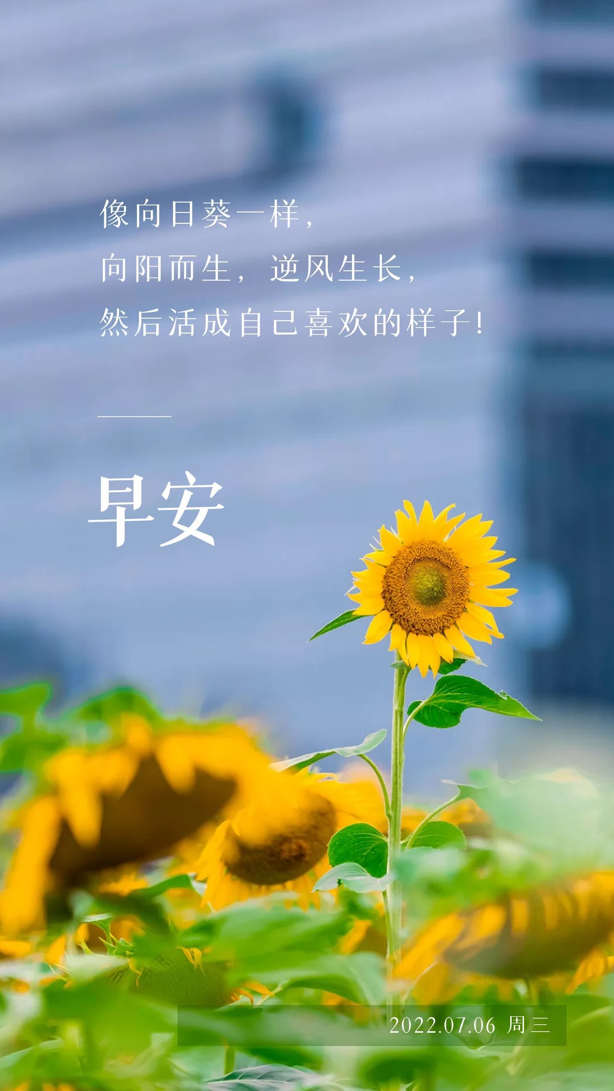 早安正能量励志文案:用拼搏擦亮青春的底色-一起备考网