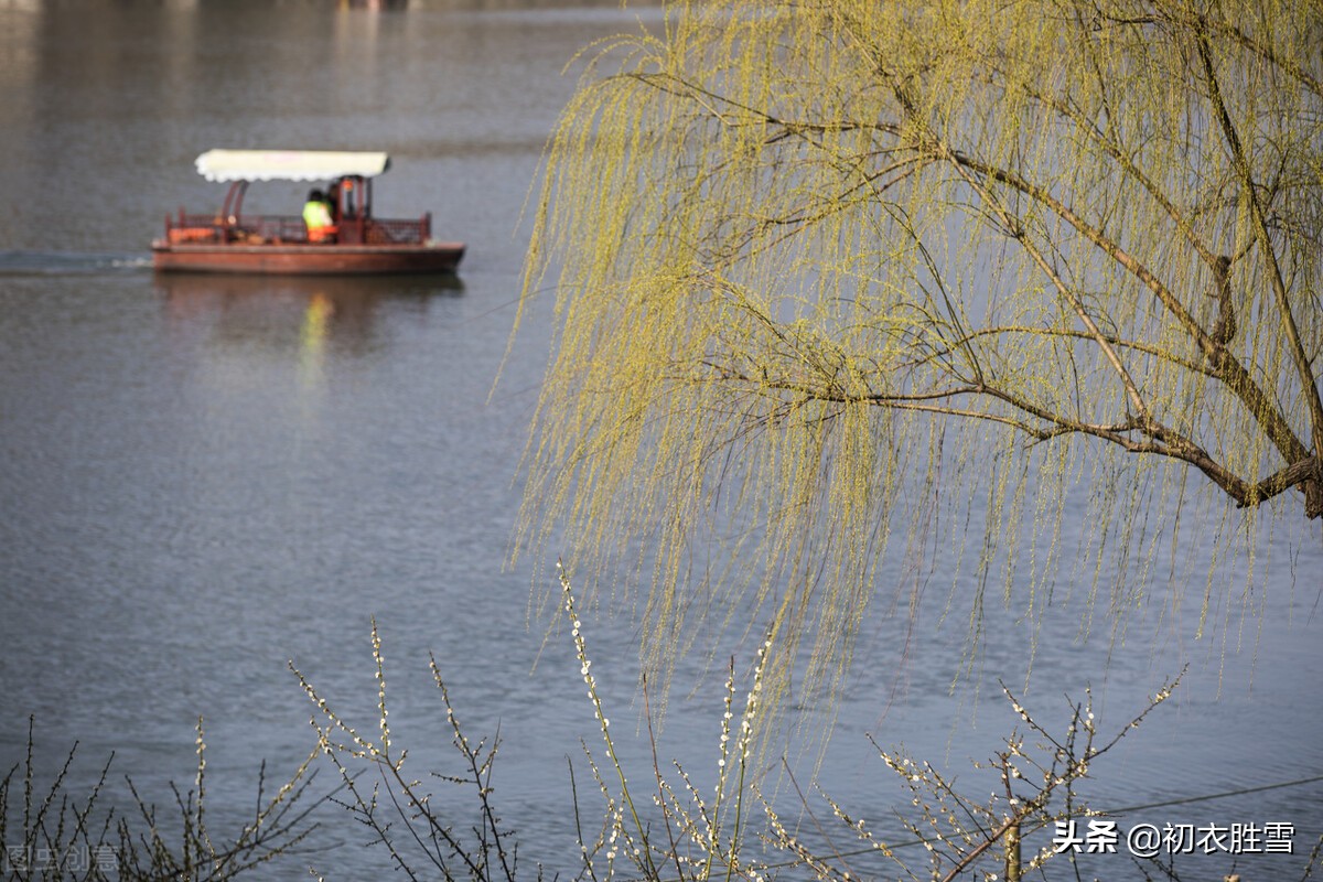 清新早春绝句六首赏读：诗家清景在新春，绿柳才黄半未匀