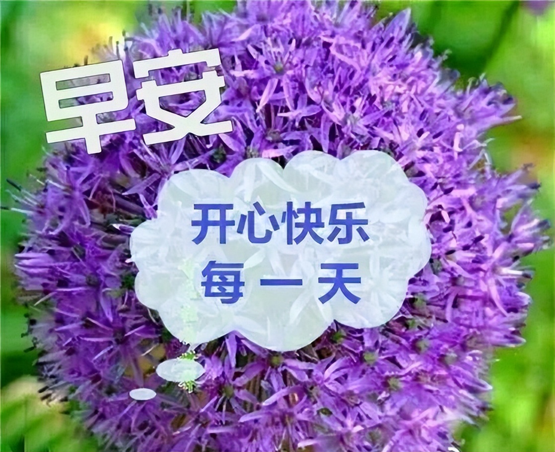 早晨好深深祝福，昨天挺好、今天很好、 明天会更美好，未来可期图片