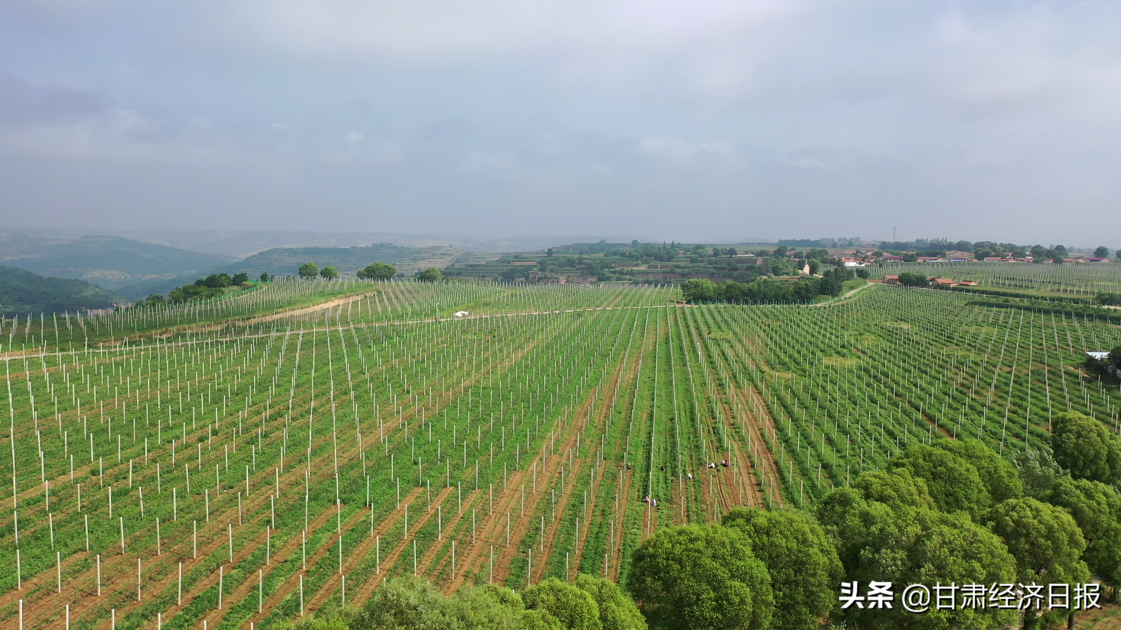 擦亮美丽甘肃发展的底色——甘肃建投生态建设集团有限公司高质量发展纪实