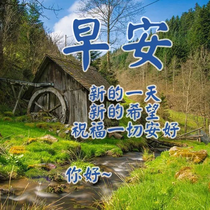 温馨早安问候语表情包，早上好祝福语短信，平安喜乐，大家早上好图片