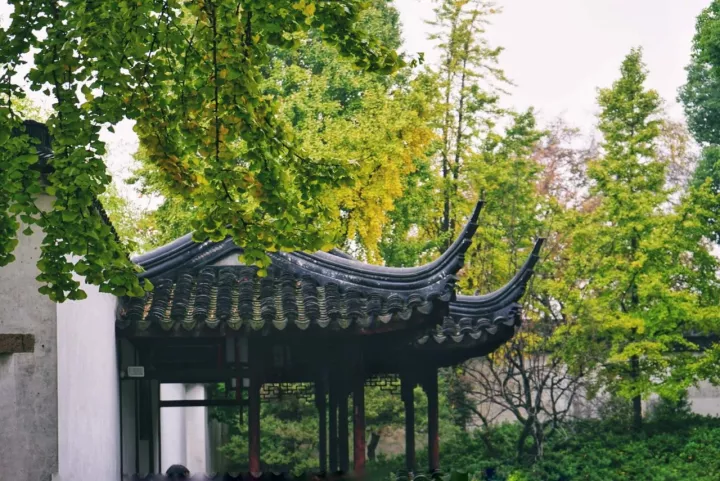 苏州园林特辑 | 待春暖花开之时，相约绝色江南，来一场寻梦之旅