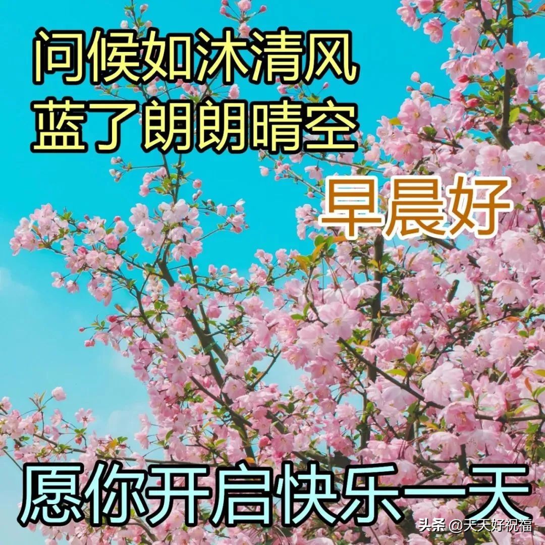 漂亮春天风景早安图片带字带祝福语 清晨早上好问候图片带字精选