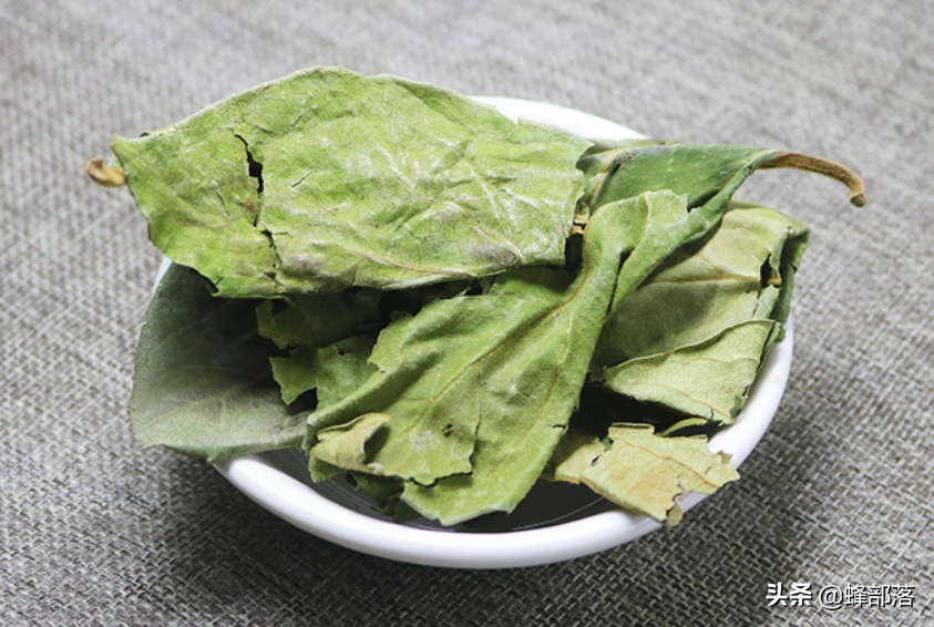 小柿子葉,