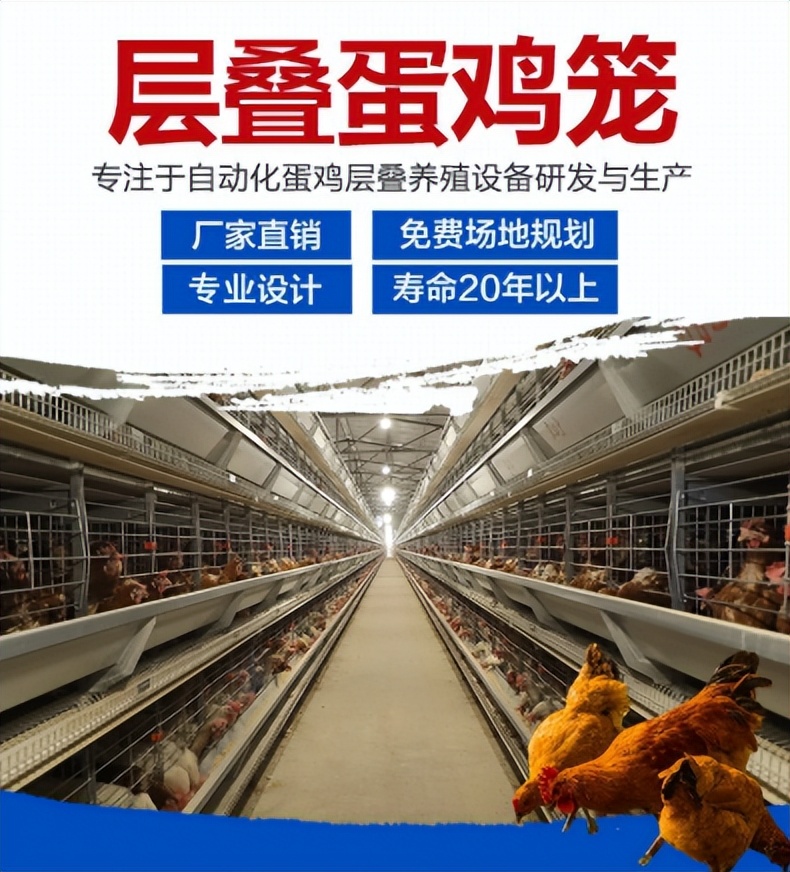 远卓农牧来告诉您：夏季鸡群为什么过料