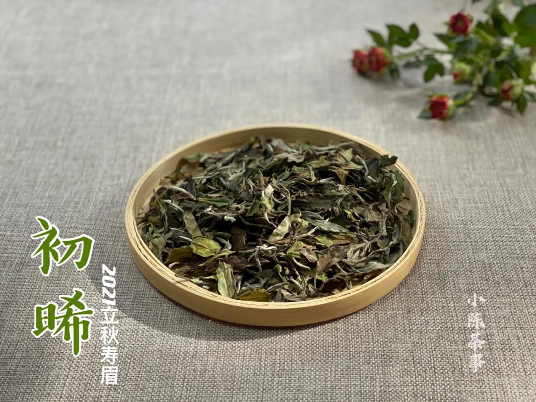 洗茶是浪费，还是衛生？老茶客搬出4个实例，好坏一次性说清