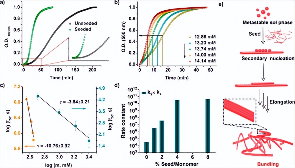 最新《JACS》！种子动态超分子水凝胶