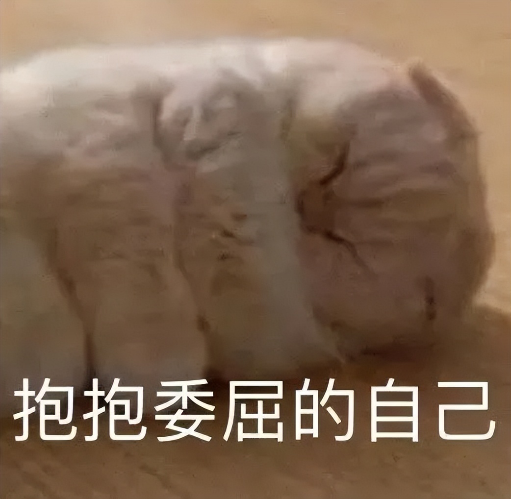 人好奇怪 突然爱 突然不爱