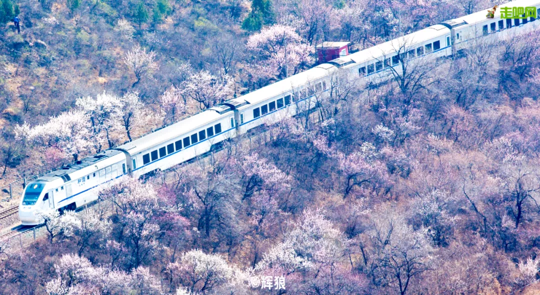 快开啦！这些地方的春景正在悄悄席卷全国，大气又美丽，别错过