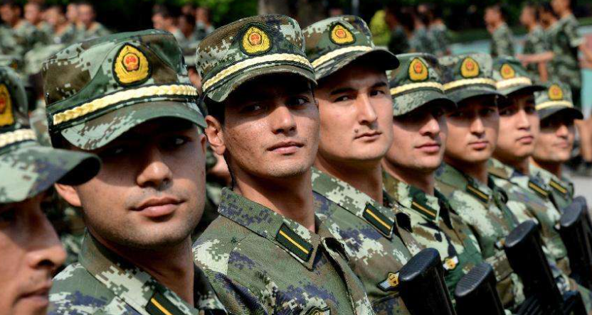 专科生求职连吃闭门羹，吐槽一堆证书不抵211学历，HR一语道破