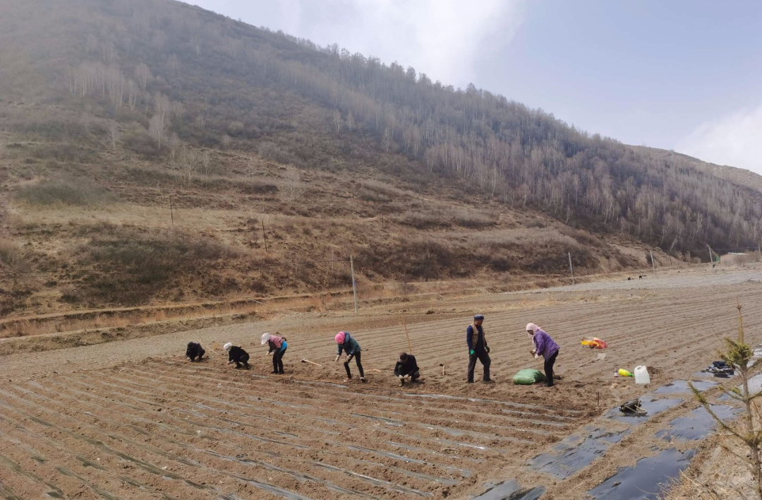 【奋进新征程 建功新时代】三岔乡：春耕备耕开好局