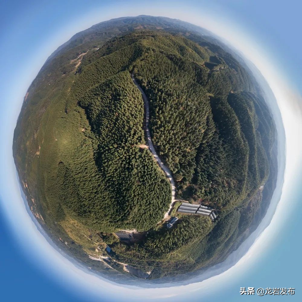 龙岩这里，科技赋能助力“双碳”