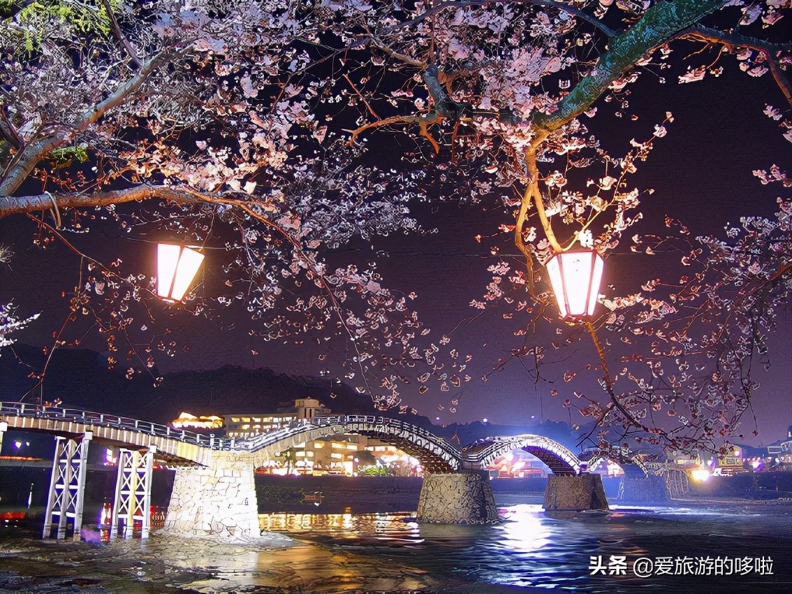 日本樱花图片（盘点大家都爱去的赏樱名地）
