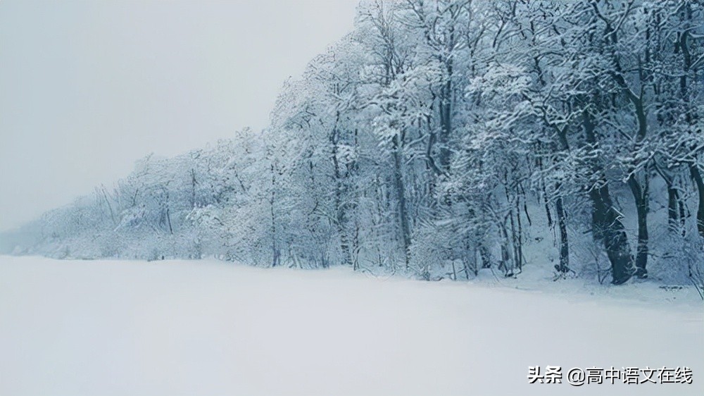 最美古诗词｜写给冬天的诗：物物皆美景，景景含真情