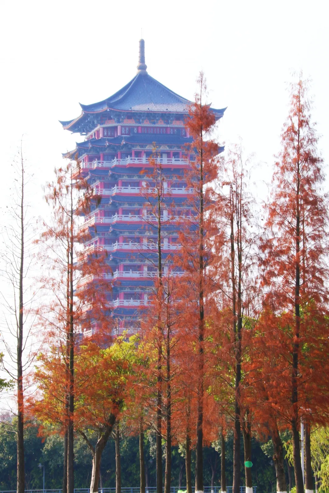 北海隔壁，广西这座安逸老城！高铁直达，嗦粉水果自由，早该火了