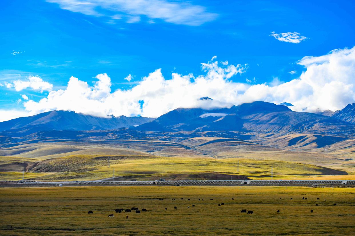 藏北草原除了风景如画,更有很多和中原地区不同的当地特色