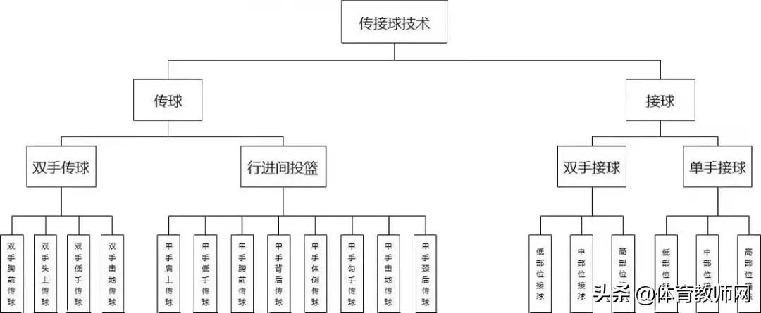 「篮球教学」篮球必备技战术图解