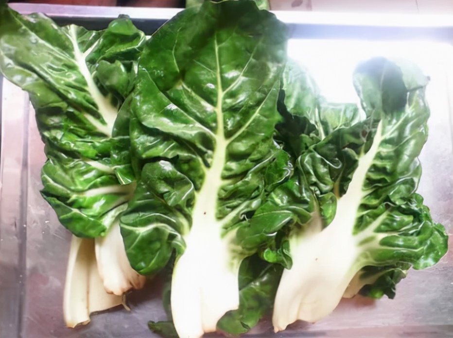 牛皮菜:菜叶厚如牛皮,曾是猪的好饲草,如今成稀罕菜比白菜还贵