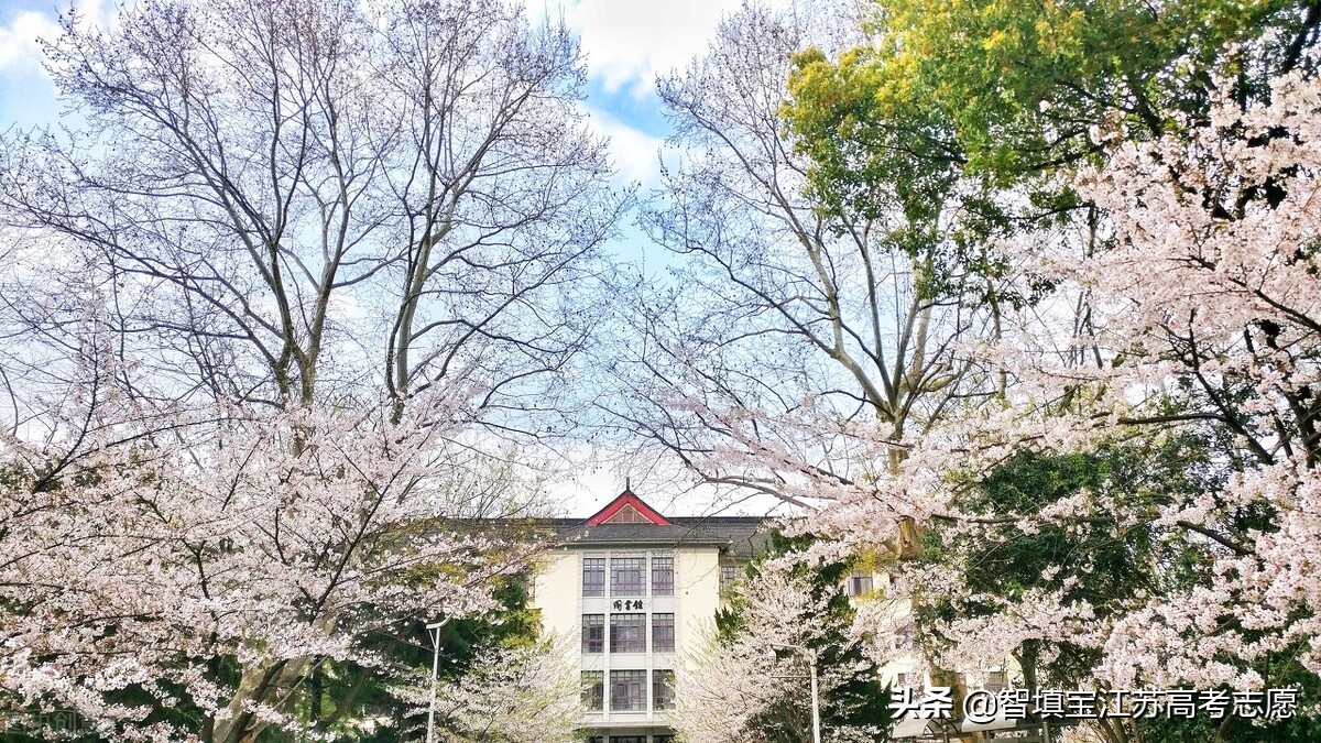 南京林业大学研究生分数线（南京林业大学最新专业录取分数线及2022年招生章程）