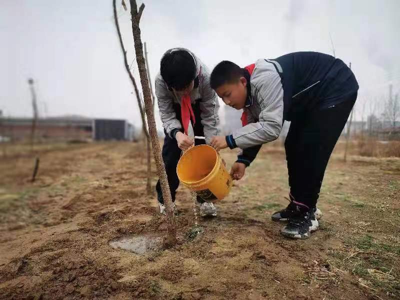 邢台市襄都区晏家屯中学参加植树活动(图5)