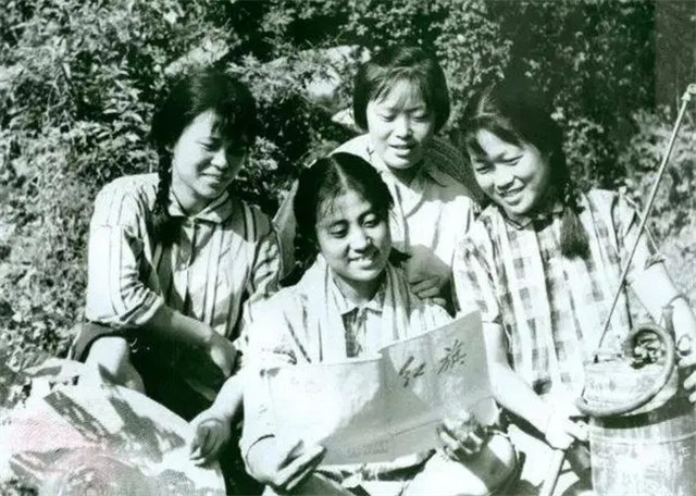 大连知青王冬梅：壮美的青春献给了草原