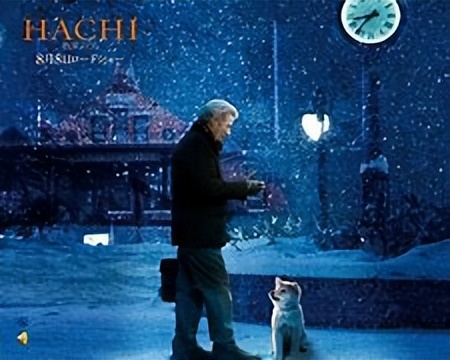 适合跟朋友一起看的国外电影