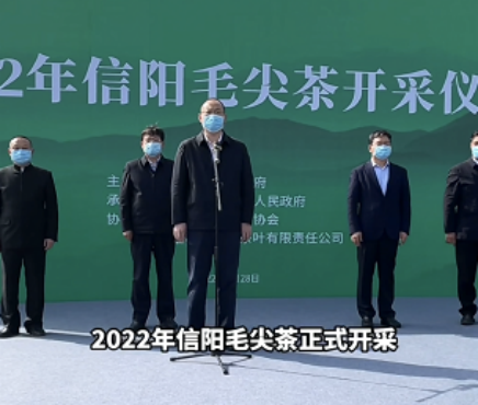 2022年“毛尖茶”在“毛尖之都”河南信阳正式开采