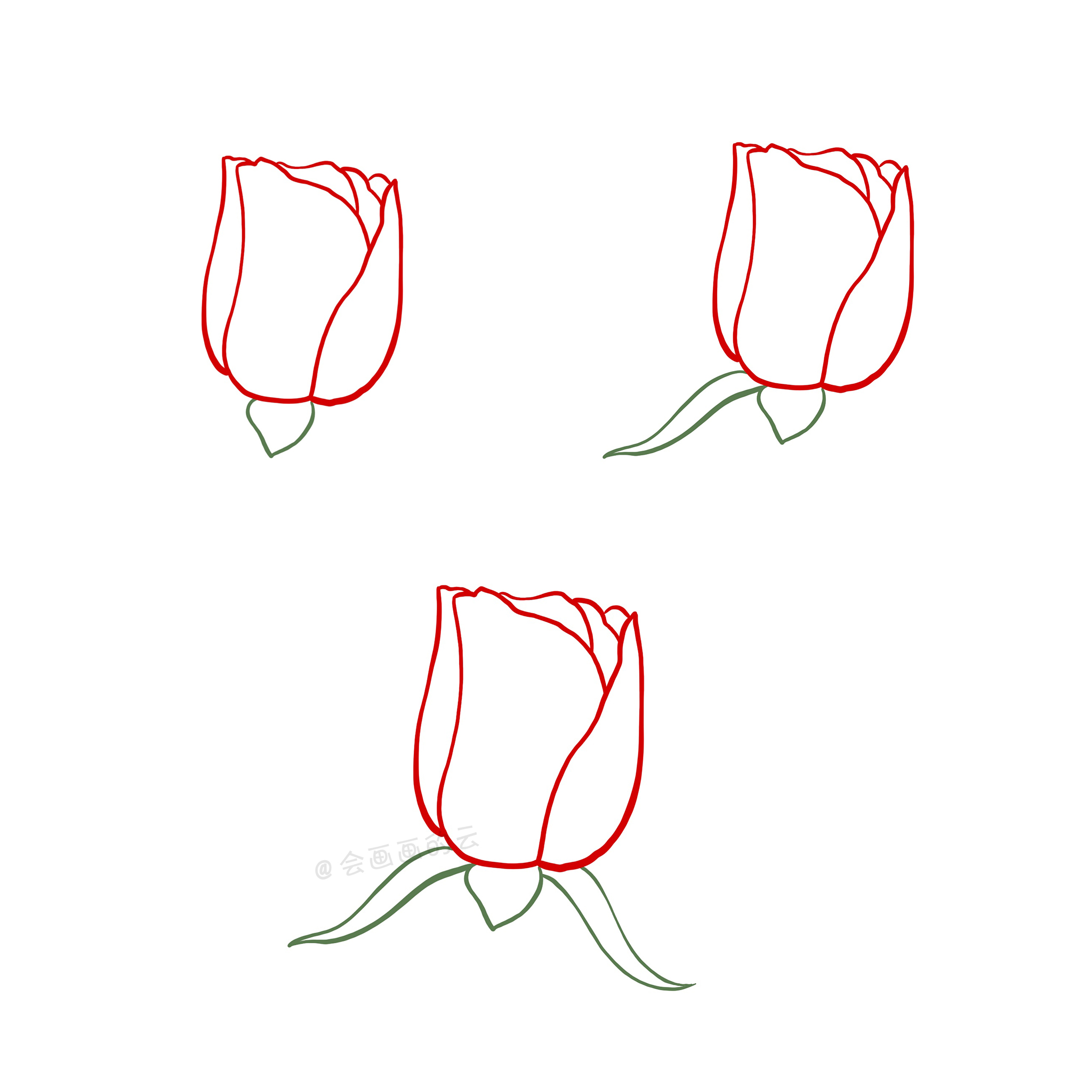 画玫瑰花的简笔画（超简单玫瑰花简笔画教程分享）