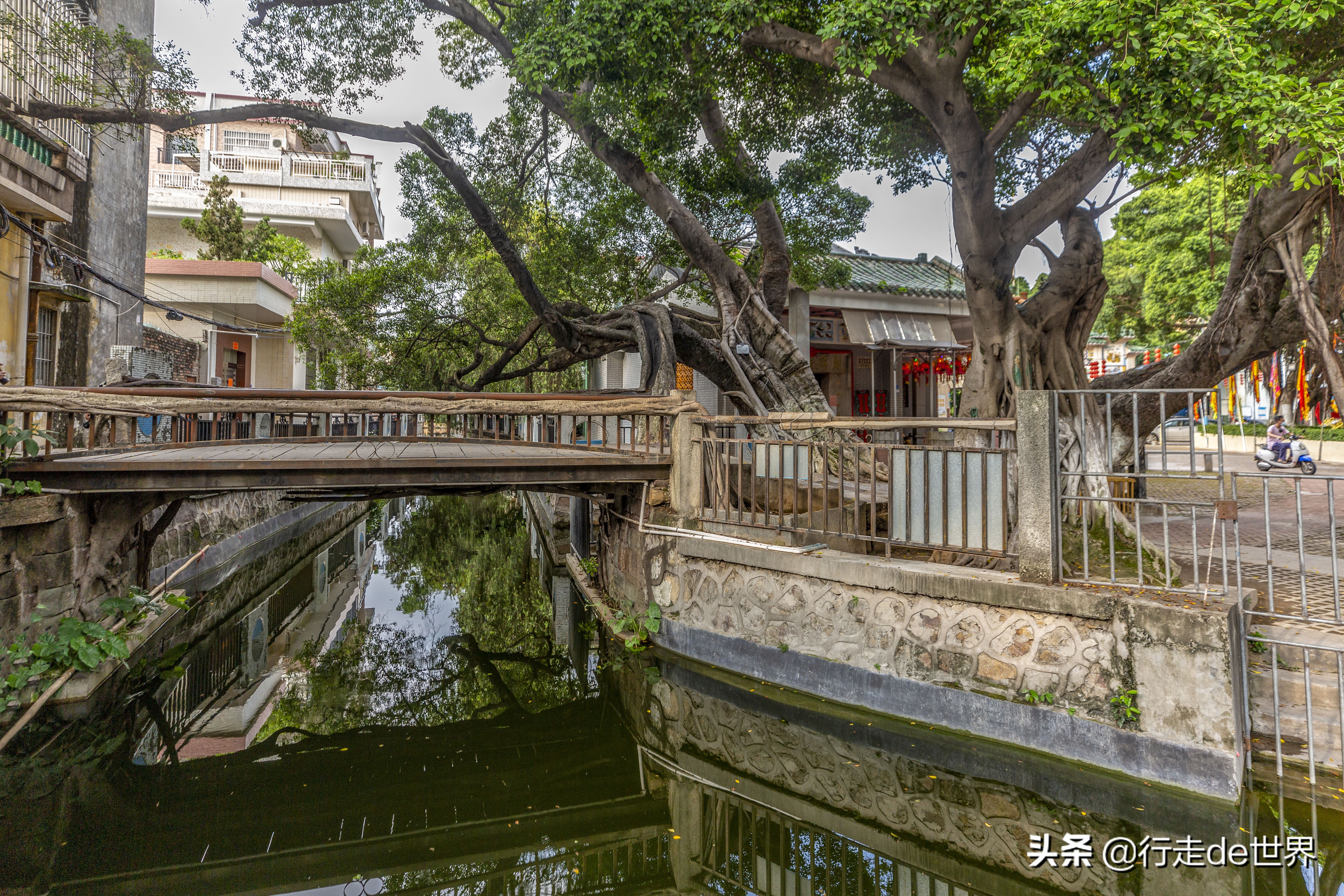 寻味顺德 | 猪头丙，一家性价比超高的农家餐厅