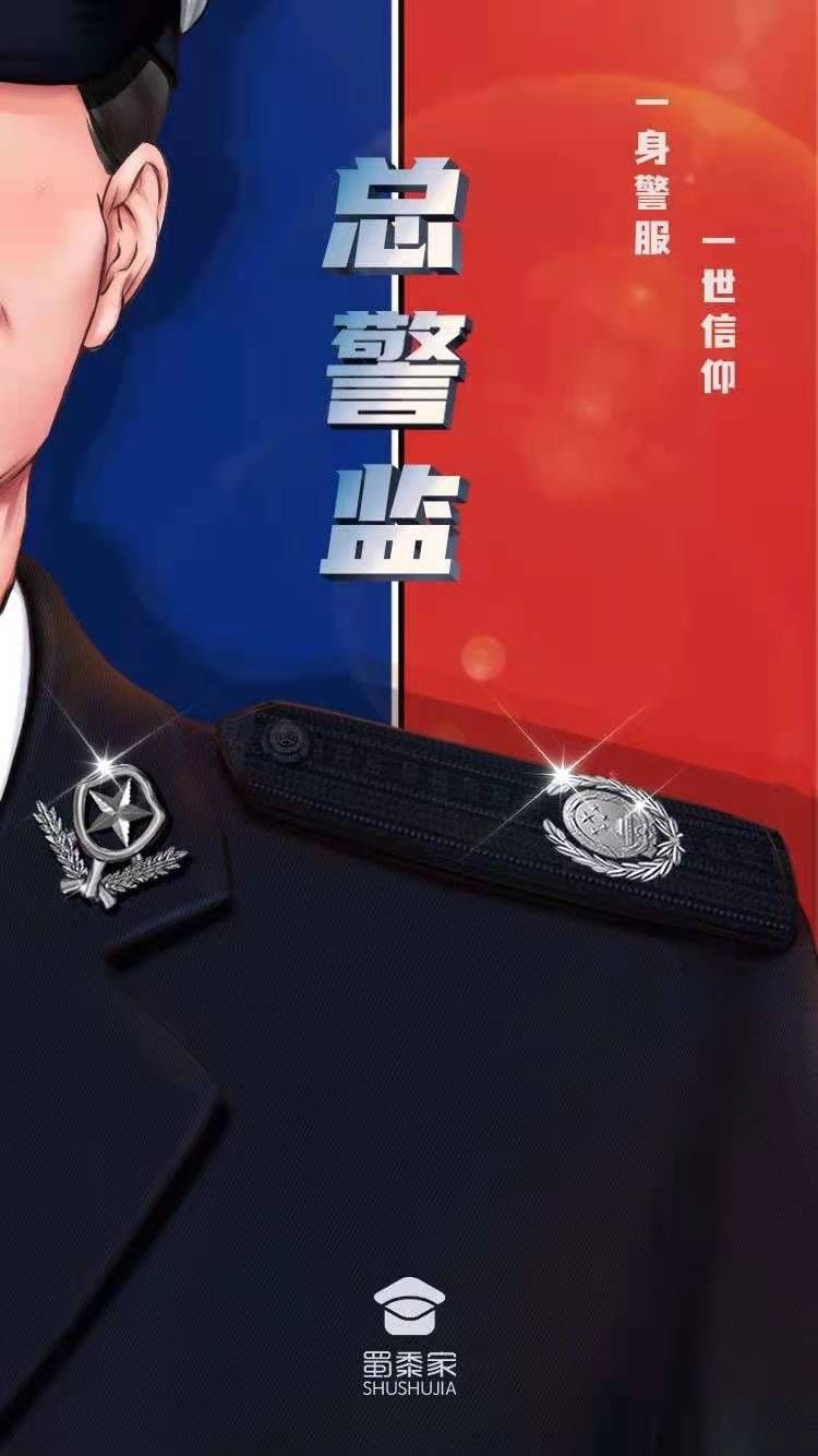 副总警监