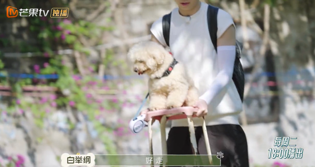 10分钟看哭7次！当他们不再“有用”的时候，却也无法正常生活