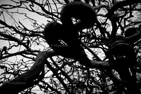 久石让栽了？或许大师眼里才能看到大多数人看不到的美