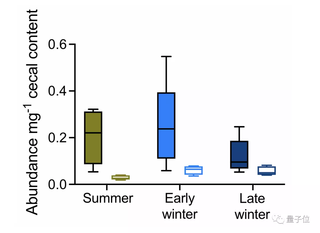 冬眠动物克服肌肉萎缩，靠的居然是“肠子”｜Science