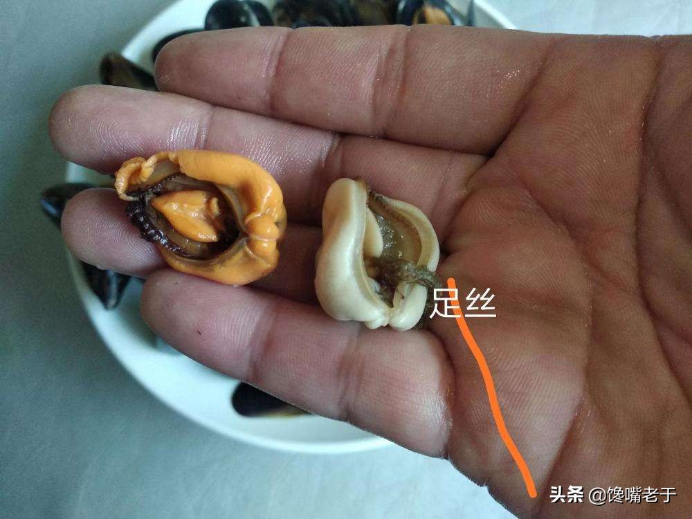 这才是“春天第一鲜”，10元5斤，不加1滴水，又鲜又嫩营养还极高