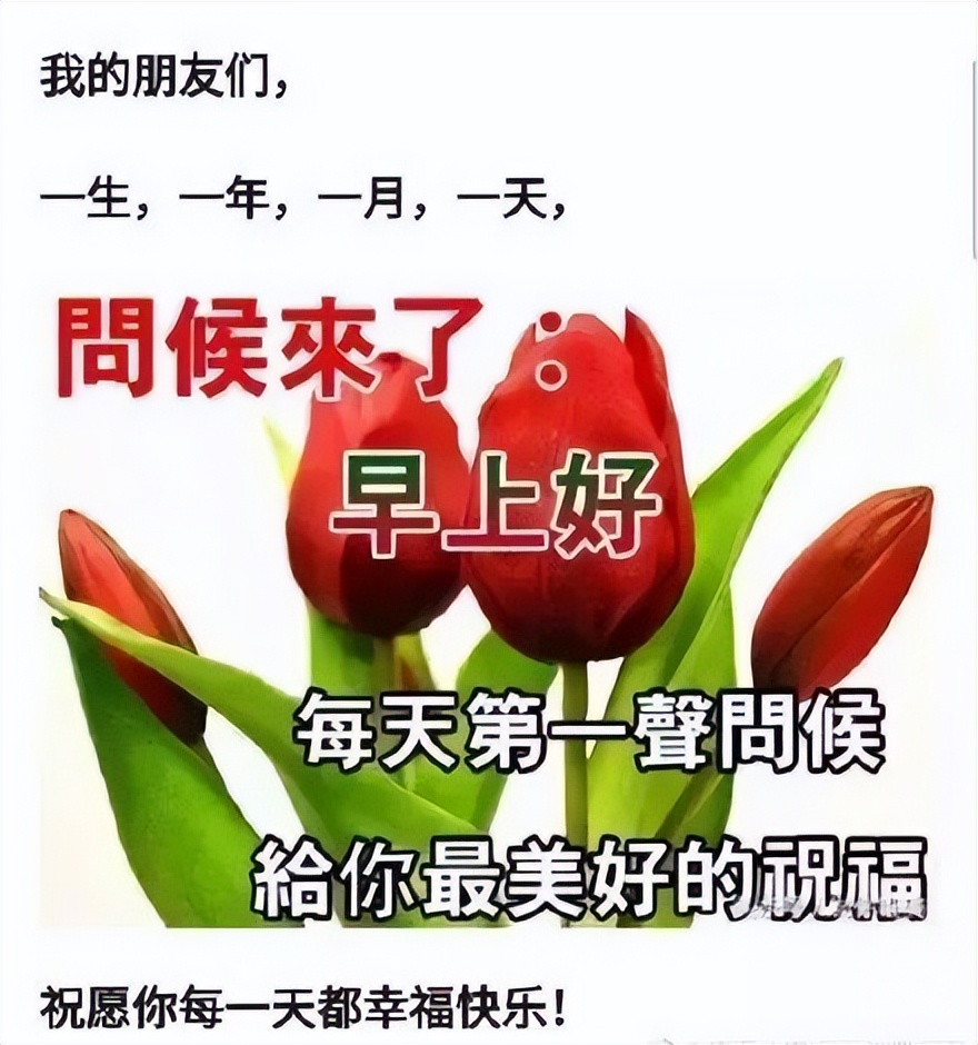 感恩节清早问候大家早上好的早安祝福语图片，相遇最美、感谢有你图片