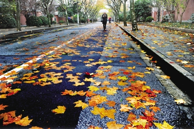 冬雨情思——陈贵清