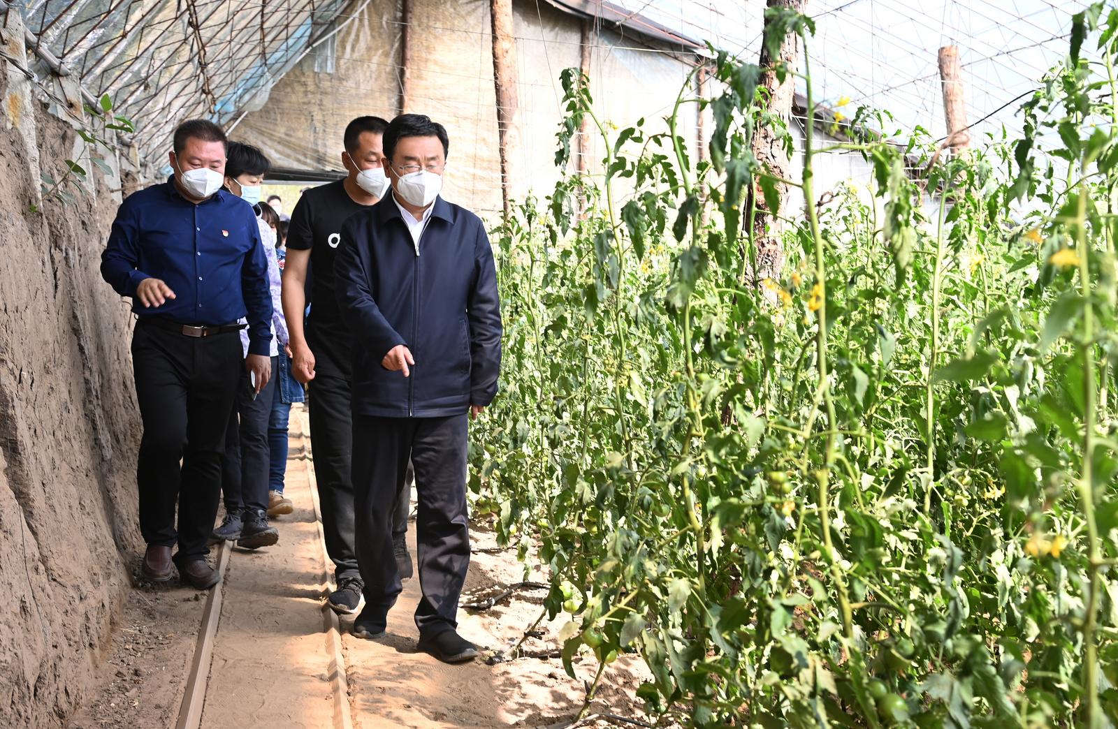 王新偉到遼中區(qū)新民市調(diào)研時要求：推動農(nóng)業(yè)農(nóng)村現(xiàn)代化邁出新步伐