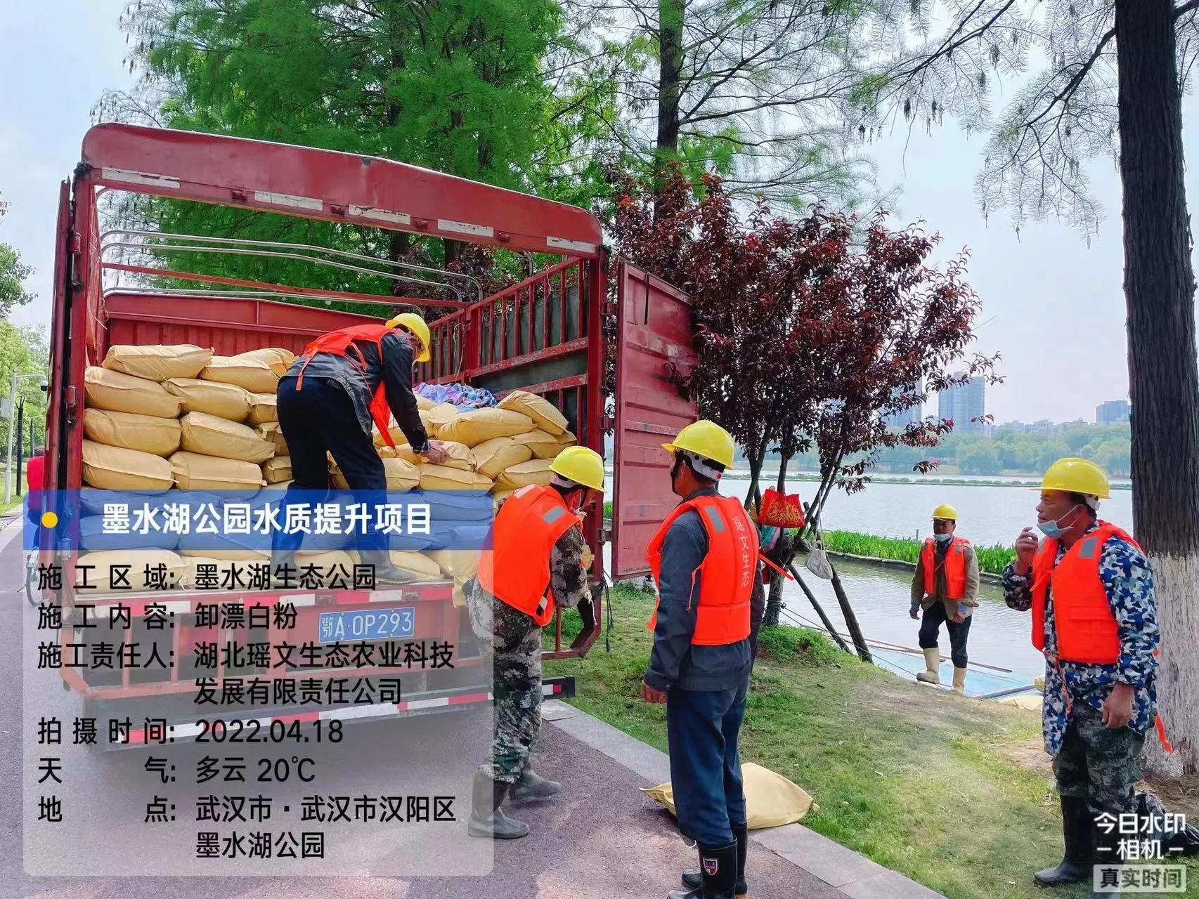 農村青年王龍，加工狐尾藻，帶活一方百姓就業